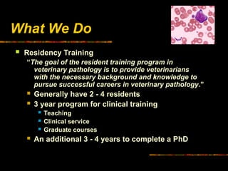 What We Do
 Residency Training
“The goal of the resident training program in
veterinary pathology is to provide veterinarians
with the necessary background and knowledge to
pursue successful careers in veterinary pathology.”
 Generally have 2 - 4 residents
 3 year program for clinical training
 Teaching
 Clinical service
 Graduate courses
 An additional 3 - 4 years to complete a PhD
 
