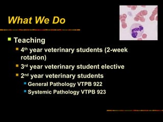 What We Do
 Teaching
 4th
year veterinary students (2-week
rotation)
 3rd
year veterinary student elective
 2nd
year veterinary students
 General Pathology VTPB 922
 Systemic Pathology VTPB 923
 