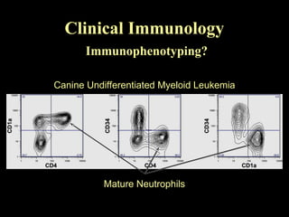 Clinical Immunology
Immunophenotyping?
Canine Undifferentiated Myeloid Leukemia
Mature Neutrophils
 