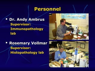Personnel
Personnel

Dr. Andy Ambrus
Dr. Andy Ambrus
Supervisor:
Supervisor:
Immunopathology
Immunopathology
lab
lab

Rosemary Vollmar
Rosemary Vollmar
Supervisor:
Supervisor:
Histopathology lab
Histopathology lab
 