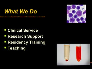 What We Do
 Clinical Service
 Research Support
 Residency Training
 Teaching
 