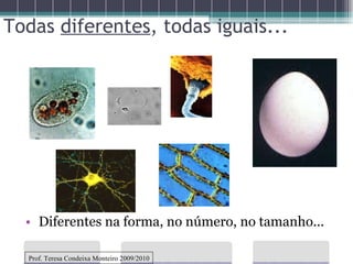 Todas  diferentes , todas iguais...   Diferentes na forma, no número, no tamanho... Prof. Teresa Condeixa Monteiro 2009/2010 