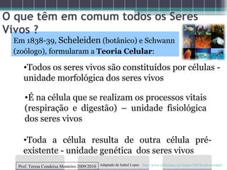 O que têm em comum todos os Seres Vivos ? Em 1838-39,  Scheleiden  (botânico) e Schwann (zoólogo), formularam a  Teoria Celular : Todos os seres vivos são constituídos por células -  unidade morfológica dos seres vivos É na célula que se realizam os processos vitais (respiração e digestão) – unidade fisiológica dos seres vivos Toda a célula resulta de outra célula pré-existente - unidade genética  dos seres vivos Prof. Teresa Condeixa Monteiro 2009/2010 http://www.slideshare.net/ilopes1969/biodiversidade Adaptado de Isabel Lopes 