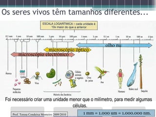 Os seres vivos têm tamanhos diferentes... 1 mm = 1.000 um = 1.000.000 nm. olho nu microscópio óptico microscópio electrónico   Foi necessário criar uma unidade menor que o milímetro, para medir algumas células. Prof. Teresa Condeixa Monteiro 2009/2010 