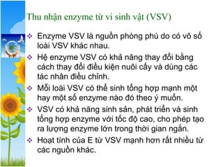 Thu nhận enzyme từ vi sinh vật (VSV)
❖ Enzyme VSV là nguồn phòng phú do có vô số
loài VSV khác nhau.
❖ Hệ enzyme VSV có khả năng thay đổi bằng
cách thay đổi điều kiện nuôi cấy và dùng các
tác nhân điều chỉnh.
❖ Mỗi loài VSV có thể sinh tổng hợp mạnh một
hay một số enzyme nào đó theo ý muốn.
❖ VSV có khả năng sinh sản, phát triển và sinh
tổng hợp enzyme với tốc độ cao, cho phép tạo
ra lượng enzyme lớn trong thời gian ngắn.
❖ Hoạt tính của E từ VSV mạnh hơn rất nhiều từ
các nguồn khác.
 