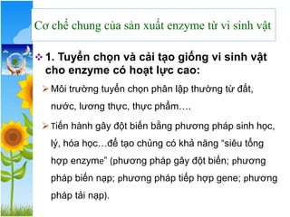 Cơ chế chung của sản xuất enzyme từ vi sinh vật
❖ 1. Tuyển chọn và cải tạo giống vi sinh vật
cho enzyme có hoạt lực cao:
➢Môi trường tuyển chọn phân lập thường từ đất,
nước, lương thực, thực phẩm….
➢Tiến hành gây đột biến bằng phương pháp sinh học,
lý, hóa học…để tạo chủng có khả năng “siêu tổng
hợp enzyme” (phương pháp gây đột biến; phương
pháp biến nạp; phương pháp tiếp hợp gene; phương
pháp tải nạp).
 