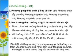 Cơ chế chung…(tt)
2. Phương pháp bảo quản giống vi sinh vật: Phương pháp
cấy chuyền; Phương pháp làm khô; Phương pháp đông
khô; Phương pháp bảo quản lạnh sâu.
3. Môi trường dinh dưỡng và giai đoạn nuôi vi sinh vật:
➢ Thành phần môi trường dinh dưỡng có ảnh hưởng trực tiếp
đến sự sinh trưởng và tổng hợp enzyme của vi sinh vật.
➢ Môi trường phải có đủ hợp chất chứa C, N, H, O và các
chất khoáng Mg, Ca, S, Fe, K, Cu, Zn, Co,.., vitamin.
Đặc biệt, để tăng sự tổng hợp enzyme người ta thường cho
thêm vào môi trường nuôi “chất cảm ứng” tổng hợp enzyme,
thường là cơ chất tương ứng của enzyme cần tổng hợp.
 