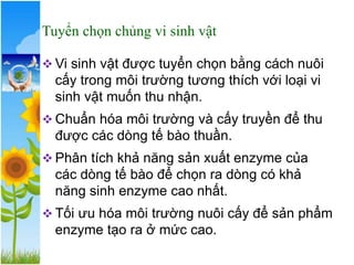Tuyển chọn chủng vi sinh vật
❖ Vi sinh vật được tuyển chọn bằng cách nuôi
cấy trong môi trường tương thích với loại vi
sinh vật muốn thu nhận.
❖ Chuẩn hóa môi trường và cấy truyền để thu
được các dòng tế bào thuần.
❖ Phân tích khả năng sản xuất enzyme của
các dòng tế bào để chọn ra dòng có khả
năng sinh enzyme cao nhất.
❖ Tối ưu hóa môi trường nuôi cấy để sản phẩm
enzyme tạo ra ở mức cao.
 