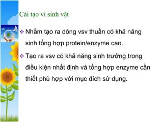 Cải tạo vi sinh vật
❖ Nhằm tạo ra dòng vsv thuần có khả năng
sinh tổng hợp protein/enzyme cao.
❖ Tạo ra vsv có khả năng sinh trưởng trong
điều kiện nhất định và tổng hợp enzyme cần
thiết phù hợp với mục đích sử dụng.
 