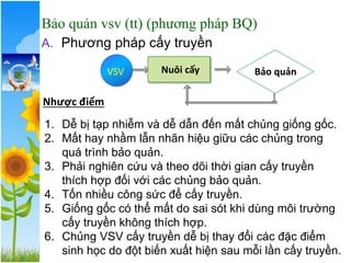 Bảo quản vsv (tt) (phương pháp BQ)
A. Phương pháp cấy truyền
Bảo quản
Nuôi cấy
VSV
1. Dễ bị tạp nhiễm và dễ dẫn đến mất chủng giống gốc.
2. Mất hay nhầm lẫn nhãn hiệu giữu các chủng trong
quá trình bảo quản.
3. Phải nghiên cứu và theo dõi thời gian cấy truyền
thích hợp đối với các chủng bảo quản.
4. Tốn nhiều công sức để cấy truyền.
5. Giống gốc có thể mất do sai sót khi dùng môi trường
cấy truyền không thích hợp.
6. Chủng VSV cấy truyền dễ bị thay đổi các đặc điểm
sinh học do đột biến xuất hiện sau mỗi lần cấy truyền.
Nhược điểm
 