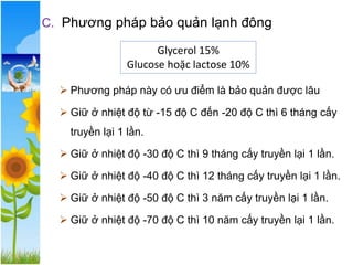 C. Phương pháp bảo quản lạnh đông
➢ Phương pháp này có ưu điểm là bảo quản được lâu
➢ Giữ ở nhiệt độ từ -15 độ C đến -20 độ C thì 6 tháng cấy
truyền lại 1 lần.
➢ Giữ ở nhiệt độ -30 độ C thì 9 tháng cấy truyền lại 1 lần.
➢ Giữ ở nhiệt độ -40 độ C thì 12 tháng cấy truyền lại 1 lần.
➢ Giữ ở nhiệt độ -50 độ C thì 3 năm cấy truyền lại 1 lần.
➢ Giữ ở nhiệt độ -70 độ C thì 10 năm cấy truyền lại 1 lần.
Glycerol 15%
Glucose hoặc lactose 10%
 