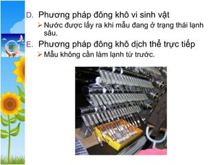 D. Phương pháp đông khô vi sinh vật
➢Nước được lấy ra khi mẫu đang ở trạng thái lạnh
sâu.
E. Phương pháp đông khô dịch thể trực tiếp
➢Mẫu không cần làm lạnh từ trước.
 
