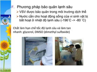 F. Phương pháp bảo quản lạnh sâu
➢VSV được bảo quản trong môi trường dịch thể
➢Nước cần cho hoạt động sống của vi sinh vật bị
bất hoạt ở nhiệt độ lạnh sâu (-196°C -> -80 °C)
Chất làm hạn chế tốc độ lạnh sâu và làm tan
nhanh: glycerol, DMSO (dimethyl sulfoxide)
 
