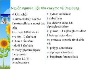 Nguồn nguyên liệu thu enzyme và ứng dụng
❖ Ghi chú:
I (intracellular): nội bào
E (extracellular): ngoại bào
Dấu
+++: hơn 100 tấn/năm
++: hơn 10 tấn/năm
+: hơn 1 tấn/năm
-: dưới 1 tấn/năm
e: triacylglycerol lipase
f: chymosin
g: endo-1,3(4)-
betaglucanase
h: xylose isomerase
i: substilisin
j: -dextrin endo-1,6-
alphaglucosodase
k: glucan-1,4-alpha glucosidase
l: beta-galactosidase
m: protease aspartic từ vi sinh
vật
n: polygalacturonase
o: alphagalactosidase
p: betafructofuranosidase
 