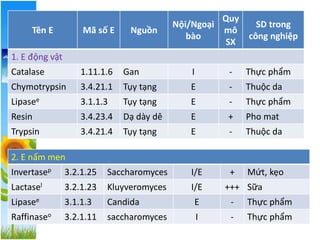 2. E nấm men
Invertasep 3.2.1.25 Saccharomyces I/E + Mứt, kẹo
Lactasel 3.2.1.23 Kluyveromyces I/E +++ Sữa
Lipasee 3.1.1.3 Candida E - Thực phẩm
Raffinaseo 3.2.1.11 saccharomyces I - Thực phẩm
Tên E Mã số E Nguồn
Nội/Ngoại
bào
Quy
mô
SX
SD trong
công nghiệp
1. E động vật
Catalase 1.11.1.6 Gan I - Thực phẩm
Chymotrypsin 3.4.21.1 Tụy tạng E - Thuộc da
Lipasee 3.1.1.3 Tụy tạng E - Thực phẩm
Resin 3.4.23.4 Dạ dày dê E + Pho mat
Trypsin 3.4.21.4 Tụy tạng E - Thuộc da
 