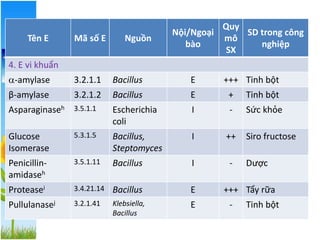 Tên E Mã số E Nguồn
Nội/Ngoại
bào
Quy
mô
SX
SD trong công
nghiệp
4. E vi khuẩn
-amylase 3.2.1.1 Bacillus E +++ Tinh bột
β-amylase 3.2.1.2 Bacillus E + Tinh bột
Asparaginaseh 3.5.1.1 Escherichia
coli
I - Sức khỏe
Glucose
Isomerase
5.3.1.5 Bacillus,
Steptomyces
I ++ Siro fructose
Penicillin-
amidaseh
3.5.1.11 Bacillus I - Dược
Proteasei 3.4.21.14 Bacillus E +++ Tẩy rữa
Pullulanasej 3.2.1.41 Klebsiella,
Bacillus
E - Tinh bột
 