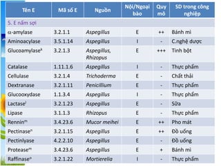 Tên E Mã số E Nguồn
Nội/Ngoại
bào
Quy
mô
SD trong công
nghiệp
5. E nấm sợi
-amylase 3.2.1.1 Aspegillus E ++ Bánh mì
Aminoacylase 3.5.1.14 Aspegillus I - C.nghệ dược
Glucoamylasek 3.2.1.3 Aspegillus,
Rhizopus
E +++ Tinh bột
Catalase 1.11.1.6 Aspegillus I - Thực phẩm
Cellulase 3.2.1.4 Trichoderma E - Chất thải
Dextranase 3.2.1.11 Penicillium E - Thực phẩm
Glucooxydase 1.1.3.4 Aspegillus I - Thực phẩm
Lactasel 3.2.1.23 Aspegillus E - Sữa
Lipase 3.1.1.3 Rhizopus E - Thực phẩm
Renninm 3.4.23.6 Mucor meihei E ++ Pho mát
Pectinasen 3.2.1.15 Aspegillus E ++ Đồ uống
Pectinlyase 4.2.2.10 Aspegillus E - Đồ uống
Proteasem 3.4.23.6 Aspegillus E + Bánh mì
Raffinaseo 3.2.1.22 Mortierelia I - Thực phẩm
 