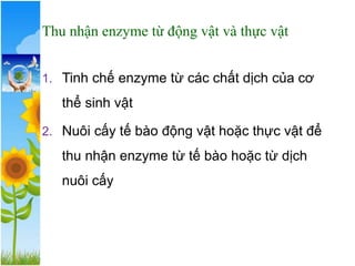 Thu nhận enzyme từ động vật và thực vật
1. Tinh chế enzyme từ các chất dịch của cơ
thể sinh vật
2. Nuôi cấy tế bào động vật hoặc thực vật để
thu nhận enzyme từ tế bào hoặc từ dịch
nuôi cấy
 