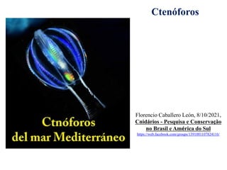 Ctenóforos
Florencio Caballero León, 8/10/2021,
Cnidários - Pesquisa e Conservação
no Brasil e América do Sul
https://web.facebook.com/groups/1391001107824116/
 