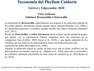 Taxonomía del Phyllum Cnidaria
Gonzalo Girivet y Gregory D. Edgecombe. 2020. The Invertebrate Tree of Life. Princeton University Press. Priceton and
Oxford. 589 pp
Clase Anthozoa
Subclases Hexacorallia y Octocorallia
La taxonomía de Hexacorallia, especialmente con respecto a las relaciones internas de
los corales pétreos, Scleractinia, puede requerir mayor atención (Fukami et al., 2008) y
los desarrollos genómicos novedosos pueden brindar una mayor resolución (Quattrini
et al., 2017).
Dentro de Octocorallia, el orden Alcyonacea ahora incluye una diversidad de grupos
que alguna vez se consideraron órdenes separados, pero sus relaciones no se
comprenden bien (Collins, 2009; Kayal et al., 2018), y una rápida radiación de los
miembros de este orden ha ha sido propuesto como una explicación para una
resolución tan pobre (McFadden et al., 2006).
Además, la taxonomía actual de corales de bajo nivel está en fuerte conflicto con los
datos genéticos en muchos casos (p. ej., Addamo et al., 2016), pero esto es extensible a
los miembros altamente calcificados de otras clases de cnidarios (p. ej., Ruiz-Ramos et
al., 2014).
Girivet y Edgecombe, 2020
 