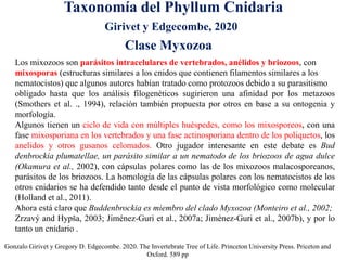 Taxonomía del Phyllum Cnidaria
Gonzalo Girivet y Gregory D. Edgecombe. 2020. The Invertebrate Tree of Life. Princeton University Press. Priceton and
Oxford. 589 pp
Los mixozoos son parásitos intracelulares de vertebrados, anélidos y briozoos, con
mixosporas (estructuras similares a los cnidos que contienen filamentos similares a los
nematocistos) que algunos autores habían tratado como protozoos debido a su parasitismo
obligado hasta que los análisis filogenéticos sugirieron una afinidad por los metazoos
(Smothers et al. ., 1994), relación también propuesta por otros en base a su ontogenia y
morfología.
Algunos tienen un ciclo de vida con múltiples huéspedes, como los mixosporeos, con una
fase mixosporiana en los vertebrados y una fase actinosporiana dentro de los poliquetos, los
anelidos y otros gusanos celomados. Otro jugador interesante en este debate es Bud
denbrockia plumatellae, un parásito similar a un nematodo de los briozoos de agua dulce
(Okamura et al., 2002), con cápsulas polares como las de los mixozoos malacosporeanos,
parásitos de los briozoos. La homología de las cápsulas polares con los nematocistos de los
otros cnidarios se ha defendido tanto desde el punto de vista morfológico como molecular
(Holland et al., 2011).
Ahora está claro que Buddenbrockia es miembro del clado Myxozoa (Monteiro et al., 2002;
Zrzavý and Hypša, 2003; Jiménez-Guri et al., 2007a; Jiménez-Guri et al., 2007b), y por lo
tanto un cnidario .
Clase Myxozoa
Girivet y Edgecombe, 2020
 