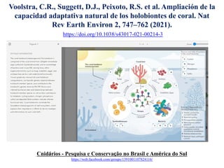 Voolstra, C.R., Suggett, D.J., Peixoto, R.S. et al. Ampliación de la
capacidad adaptativa natural de los holobiontes de coral. Nat
Rev Earth Environ 2, 747–762 (2021).
https://doi.org/10.1038/s43017-021-00214-3
Cnidários - Pesquisa e Conservação no Brasil e América do Sul
https://web.facebook.com/groups/1391001107824116/
 