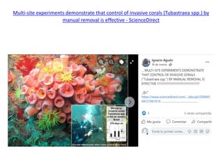 Multi-site experiments demonstrate that control of invasive corals (Tubastraea spp.) by
manual removal is effective - ScienceDirect
 