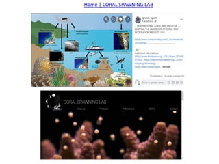 Home | CORAL SPAWNING LAB
 