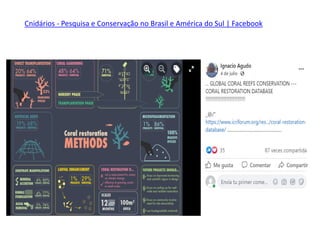 Cnidários - Pesquisa e Conservação no Brasil e América do Sul | Facebook
 