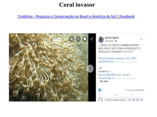 Cnidários - Pesquisa e Conservação no Brasil e América do Sul | Facebook
Coral invasor
 
