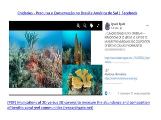 (PDF) Implications of 2D versus 3D surveys to measure the abundance and composition
of benthic coral reef communities (researchgate.net)
Cnidários - Pesquisa e Conservação no Brasil e América do Sul | Facebook
 