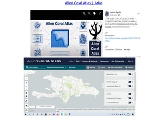 Allen Coral Atlas | Atlas
 