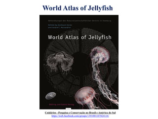 Cnidários - Pesquisa e Conservação no Brasil e América do Sul
https://web.facebook.com/groups/1391001107824116/
World Atlas of Jellyfish
 