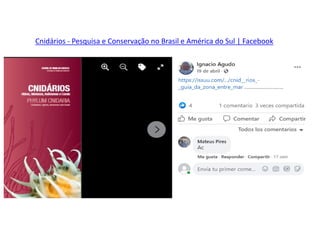 Cnidários - Pesquisa e Conservação no Brasil e América do Sul | Facebook
 