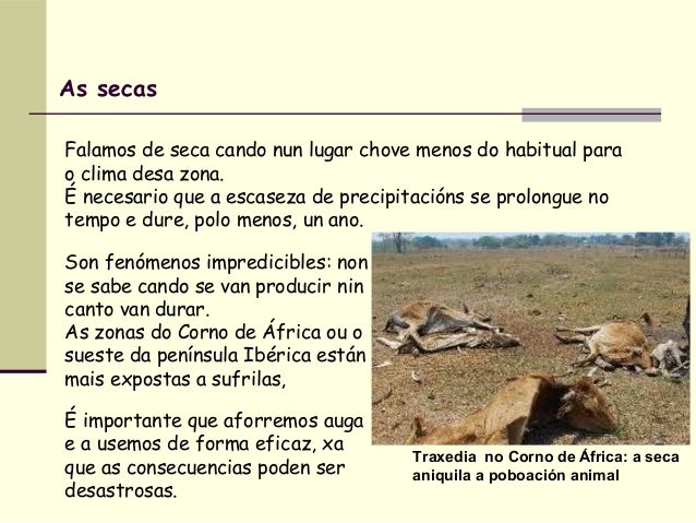 Os furacáns
Un furacán e unha forte borrasca
con grandes e constantes ventos e
chuvias
As bategadas de vento oscilan
entre...