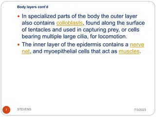 Colloblasts Example 04 Ctenophores.ppt