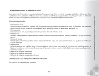 04_Currculo_Estudiantes_con_Discapacidad_Visual.pdf
