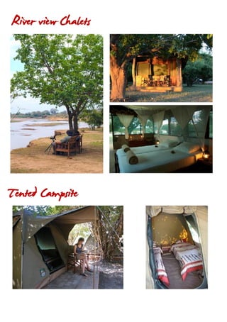 River view Chalets
Tented Campsite
 