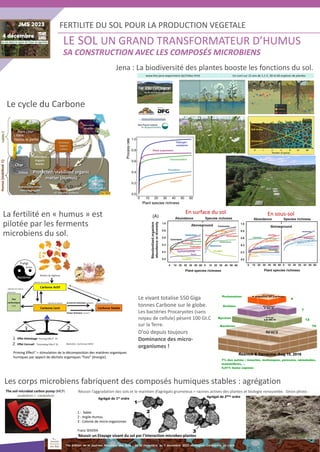 FERTILITE DES SOLS _focus sur la gestion de sa fertilité pour assurer ...