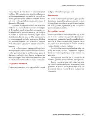 Capítulo 4. Enfermedades de los bovinos




Desde el punto de vista clínico, es sumamente difícil    maligna, fiebre aftosa y lengua azul.
establecer diferenciación entre las enfermedades que
                                                         Tratamiento
producen erosiones de la mucosa bucal, aun con la ne-
cropsia, ya que se puede confundir con fiebre aftosa o   No existe un tratamiento específico, pero pueden
con peste bovina, por ello cobra gran importancia el     disminuirse las pérdidas y la duración del periodo
diagnóstico diferencial.                                 de convalecencia mediante terapia de sostén a base
     En cuanto al diagnóstico final, este se realiza     de astringentes digestivos y de soluciones
mediante una prueba de inmunofluorescencia a par-        parenterales de electrólitos.
tir de exudado nasal, sangre, heces, mucosa reco-
                                                         Prevención y control
lectada durante la necropsia, etcétera, con el objeto
de realizar el aislamiento del virus y lograr así su     Se debe vacunar a los terneros de entre 6 y 10 me-
identificación. En este caso, se debe considerar que     ses de edad y a las vacas no gestantes. Los animales
en ocasiones puede no haber anticuerpos debido a         que ya están padeciendo la enfermedad deben ser
una inmunosupresión o a una incapacidad para pro-        aislados. Se deben tomar medidas sanitarias efecti-
ducir anticuerpos. Otra prueba útil es la seroneutra-    vas, como es la desinfección de locales, evitar las
lización.                                                visitas, eliminar vectores, etcétera.
     Es de vital importancia considerar el diagnóstico        Otras medidas importantes: Lotificar a los ani-
inicial para tomar medidas inmediatas en caso de sos-    males por edades, vacunar a las hembras en perío-
pechar que se trate de un problema más grave. El         do abierto y a las vaquillas que van por primera vez
diagnóstico definitivo debe basarse en la pruebas        a servicio.
mencionadas para dar el tratamiento específico o, en          Es importante recordar que la vacunación en
su defecto, tomar las medidas de control pertinentes.    hembras gestantes provoca efectos teratogénicos.
                                                              Existen vacunas vivas e inactivadas: Las vacu-
Diagnóstico diferencial                                  nas modificadas son peligrosas si se usan en vacas
Con estomatitis erosiva, peste bovina, fiebre catarral   gestantes. A la fecha no se puede especificar con
                                                         precisión el tipo de vacuna ideal en cualquier cir-
                                                         cunstancia.




                                                               Facultad de Medicina Veterinaria y Zootecnia-UNAM   127
 