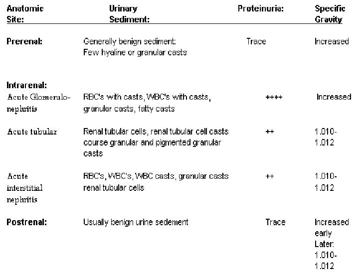 04 Differential Diagnosis Of Acute Renal Failure