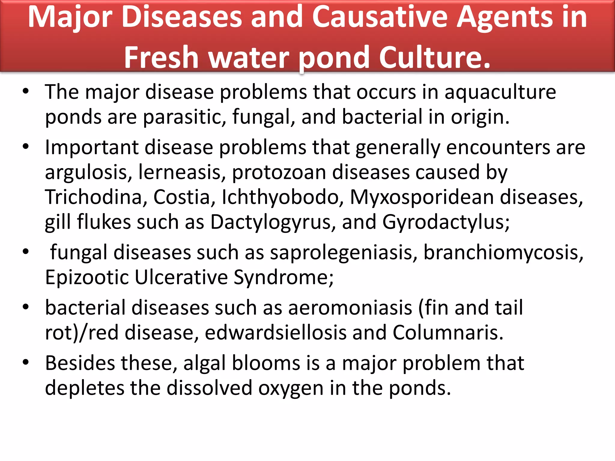 Disease management in aquaculture | PPTX