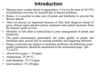 Disease management in aquaculture | PPTX