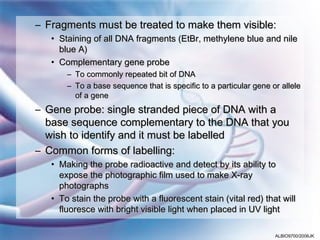 – Fragments must be treated to make them visible:
   • Staining of all DNA fragments (EtBr, methylene blue and nile
     blue A)
   • Complementary gene probe
       – To commonly repeated bit of DNA
       – To a base sequence that is specific to a particular gene or allele
         of a gene
– Gene probe: single stranded piece of DNA with a
  base sequence complementary to the DNA that you
  wish to identify and it must be labelled
– Common forms of labelling:
   • Making the probe radioactive and detect by its ability to
     expose the photographic film used to make X-ray
     photographs
   • To stain the probe with a fluorescent stain (vital red) that will
     fluoresce with bright visible light when placed in UV light

                                                                   ALBIO9700/2006JK
 
