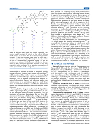 overepxression is suﬃcient to inhibit P. aeruginosa quorum
sensing and reduce virulence in a C. elegans infection model,15
and formulations of the puriﬁed protein have been developed
to facilitate inhalational therapies.16
Recent eﬀorts have also re-
engineered PvdQ to improve hydrolysis of the substrate N-
octanoyl-L-homoserine lactone and eﬀectively applied this
variant enzyme as an antivirulence agent in a moth larvae
model of Burkholderia infection.17
Therefore, the development
of more eﬀective PvdQ variants as therapeutic enzymes is also
of interest.
However, both the design of small molecule PvdQ inhibitors
and the engineering of PvdQ selectivity are hampered, in part,
by two unresolved aspects of ligand recognition. First, the
mechanism of substrate discrimination has not been fully
determined. Previously, a hydrophobic “acyl-group” binding
site in PvdQ was identiﬁed through X-ray crystallography and
probed by site-directed mutagenesis.8−10,17
By steric occlusion,
the limited size and shape of this cavity likely disfavor the
binding and processing of substrates too large to be
accommodated. For example, comparison of structural models
and steady-state kinetic analysis suggests that a narrowing of the
acyl-group binding site near P238 and the backbone of H284
disfavors processing of N-3-oxo-dodecanoyl-L-homoserine
lactone approximately 100-fold10
over unsubstituted substrates.
However, since steric occlusion of smaller compounds is not a
likely mechanism, it is unclear how PvdQ excludes potential
substrates with n-acyl substituents containing ≤8 carbons, such
as N-butanoyl-L-homoserine lactone.4,10
Second, inhibitors that
target the “head-group” binding site found in PvdQ have not
been reported. This headgroup binding site is much larger and
more functionally diverse than the acyl-group binding site and
is expected to accommodate the diverse leaving groups of
various substrates, including the large cyclic peptide of the
pyoverdine precursor. Potent PvdQ inhibitors derived from
high-throughput screening all bind deep within the hydro-
phobic acyl-group binding site and, with the exception of ≤2 H-
bond(s) each, appear to derive their binding energy through
hydrophobic interactions.9,14
Speciﬁc H-bonding often drives
inhibitor selectivity18
and contributes to the enthalpic
component of binding favored in drug lead identiﬁcation,19
so targeting the more polar headgroup binding site is desirable.
However, apart from the reversible covalent S217−Oγ
-boron
bond formed by n-alkylboronic acids (Figure 1),10
PvdQ
inhibitors that instead target the catalytic residues or the more
polar headgroup binding site are not known.
Although fatty acids and substrates with n-alkyl substituents
≤8 carbons are not well bound or processed by PvdQ,4,10
we
reasoned that the enhanced aﬃnity of n-alkylboronic acids,
which are approximately 5000-fold more potent than
structurally similar fatty acids,10
might enable us to characterize
the interaction of PvdQ with ligands bearing shorter n-alkyl
chains. Characterization of the binding of smaller ligands may
help to elucidate how N-butanoyl-L-homoserine lactone and
other structurally related signals avoid PvdQ processing. So, to
better deﬁne the mechanism of PvdQ substrate discrimination
and to reveal determinants of ligand recognition and
discrimination, we report here the aﬃnity and structural
characterization of a series of n-alkylboronic acid inhibitors.
■ MATERIALS AND METHODS
Materials. Unless otherwise noted, all chemicals were from
Sigma-Aldrich Chemical Co. (St. Louis, MO, USA). 1-
Ethylboronic acid (C2-B(OH)2), 1-propylboronic acid (C3-
B(OH)2), 1-butylboronic acid (C4-B(OH)2), 1-hexylboronic
acid (C6-B(OH)2), and 1-octylboronic acid (C8-B(OH)2)
were from Alfa Aesar (Ward Hill, MA, USA). Boronic acids
with longer n-alkyl substituents were obtained and abbreviated
as described previously.10
Graphing and curve ﬁtting was
performed using KaleidaGraph 3.6 (Synergy Software, Reading,
PA, USA).
Expression and Puriﬁcation of PvdQ. Recombinant P.
aeruginosa PvdQ containing a C-terminal His6-aﬃnity tag was
expressed and puriﬁed in Tuner (DE3) pLysS Escherichia coli
cells (EMD Millipore) and stored in 10% (v/v) glycerol at −80
°C as described previously.10
Determining n-Alkylboronic Acid Ki Values. Determi-
nation of potency for C2-, C3-, C4-, and C6-B(OH)2 inhibition
of puriﬁed PvdQ was accomplished using procedures similar to
those described previously.10
Brieﬂy, stock solutions of the
colorimetric PvdQ substrate (4-nitrophenyl dodecanoate)9,10
were prepared in methanol and stock solutions of each n-
alkylboronic acid inhibitor in DMSO. Continuous spectropho-
tometric kinetic assays were used to determine initial hydrolysis
rates by mixing substrate (5 μM), and n-alkylboronic acid
inhibitor (ranging from 0.002−60 mM depending on the
compound, typically with three concentrations above and
below each IC50 value) in Na2HPO4 buﬀer (40 mM) at pH 8.0
and 25 °C, each reaction being made to a ﬁnal 20% methanol
cosolvent10
concentration in a disposable 1 mL polystyrene
cuvette (Thermo Fisher). Each reaction was initiated by
addition of puriﬁed PvdQ (10 nM) and product formation was
monitored by measuring the increase in absorbance at 402 nm
Figure 1. Selected PvdQ ligands and related compounds. The
common n-alkyl substituent is colored in blue and the diﬀering
“head groups” are in black for the N-myristylated pyoverdine
precursor7
(1, with the glutamine residue linker in green), the P.
aeruginosa quorum-sensing signals N-butanoyl-L-homoserine lactone
(2) and N-3-oxo-dodecanoyl-L-homoserine lactone (3), and the
transition state analogue 1-tridecylboronic acid (4). An alternate
version of the N-myristylated pyoverdine precursor has also been
proposed in which cyclization of the quinolone chromophore of
mature pyoverdine has already taken place.9
Biochemistry Article
dx.doi.org/10.1021/bi501086s | Biochemistry 2014, 53, 6679−66866680
 