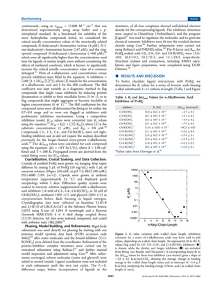 continuously, using an ε402nm = 13 000 M−1
cm−1
that was
determined experimentally using assay buﬀer and a p-
nitrophenol standard. As a benchmark for solubility of the
more hydrophobic compounds tested, we considered the
critical micelle concentration values of the structurally related
compounds N-dodecanoyl-L-homoserine lactone (4 μM), N-3-
oxo-dodecanoyl-L-homoserine lactone (247 μM), and the ring-
opened compound N-dodecanoyl-L-homoserine (>400 μM),20
which were all signiﬁcantly higher than the concentrations used
here for ligands of similar length, even without considering the
eﬀects of methanol cosolvent, which is known to signiﬁcantly
increase the critical micelle concentration value of a common
detergent.21
Plots of n-alkyboronic acid concentration versus
percent inhibition were ﬁtted to the equation: % inhibition =
(100/(1 + (IC50/[I])h
)), where [I] stands for the concentration
of n-alkylboronic acid and h for the Hill coeﬃcient. The Hill
coeﬃcient was kept variable as a diagnostic method to ﬂag
compounds that might cause inhibition by inducing protein
denaturation or inhibit as their micellular forms (h ≫ 1), or to
ﬂag compounds that might aggregate or become insoluble at
higher concentrations (h ≪ 1).22
The Hill coeﬃcients for this
compound series were all determined by ﬁtting to be within the
0.7−0.9 range and so were not ﬂagged as inhibitors with
problematic inhibition mechanisms. Using a competitive
inhibition model, IC50 values were converted into Ki values
using the equation:23
IC50 = Ki(1 + ([S]/KM)), where [S] is the
substrate concentration (5 μM), and KM = 0.8 μM.10
Compounds C2-, C3-, C4-, and C6-B(OH)2 were not tight-
binding inhibitors and so did not require the analysis described
previously for the longer-chained more-potent n-alkylboronic
acids.10
The ΔGbind values were calculated for each compound
using the equation: ΔG = −RT ln(1/Ki), where R = 1.98 cal/
Kmol and T = 298 K. Propagated errors are derived from the
initial ﬁtting errors for IC50 values.
Crystallization, Crystal Soaking, and Data Collection.
Crystals of puriﬁed PvdQ were grown via hanging drop vapor
diﬀusion by mixing 1 μL of PvdQ (10 mg/mL) with 1 μL of
reservoir solution (Hepes (50 mM) at pH 7.5; RbCl (80 mM);
PEG-4000 (10% (w/v)). Crystals were grown at ambient
temperature (approximately 25 °C) and displayed good
morphology within 5 days. Diﬀraction quality crystals were
soaked in reservoir solution supplemented with n-alkylboronic
acid inhibitors (10 mM of C2-, C4-, C6-B(OH)2, or 20 μM of
C8-B(OH)2), methanol (50% v/v) and glycerol (20% v/v) as
cryoprotectant before ﬂash freezing in liquid nitrogen.
Crystallographic data were collected on beamline 23-ID-B
and 23-ID-D of GM/CA-CAT at the Advance Photon Source
(APS) using X-rays of 1.054 Å wavelength and a Rayonix
(formerly MAR-USA) 4 × 4 tiled charge coupled device
(CCD) detector. All data were indexed, integrated, and scaled
with software suite HKL2000.24
Phasing, Model Building, and Reﬁnements. Rigid body
reﬁnement was used directly for phasing by starting with our
previous model (protein data bank (PDB) accession code
4M1J)10
after water molecules and the bound inhibitor (C13-
B(OH)2) were deleted from the coordinates. Reﬁnement of the
protein/inhibitor complex structures were carried out by
restrained reﬁnement using Refmac525
and further manual
model inspection and adjustment using Coot.26
After reﬁne-
ments converged, solvent molecules (water and glycerol) were
added in several rounds. Ligand coordinates were not included
in each reﬁnement until the very last cycles. The Fo−Fc
diﬀerence maps, before incorporation of ligands in the
structures, of all four complexes showed well-deﬁned electron
density for the corresponding ligands. The inhibitors’ structures
were created in ChemDraw (PerkinElmer), and the program
JLigand27
was used to regularize the molecules and to generate
chemical restraints. Inhibitors were ﬁt into the residual electron
density using Coot.26
Further reﬁnements were carried out
using Refmac5 and PHENIX.reﬁne.28
The R factor and Rfree for
PvdQ soaked with C2-, C4-, C6- and C8-B(OH)2 were 15.9/
19.0, 16.5/19.2, 18.2/21.5, and 15.1/19.3, respectively.
Structural analysis and comparison, including RMSD calcu-
lations and ﬁgure preparation, were completed using UCSF
Chimera.29
■ RESULTS AND DISCUSSION
To better elucidate ligand interactions with PvdQ, we
determined the Ki values for a series of boronic acids bearing
n-alkyl substituents 2−15 carbons in length (Table 1 and Figure
Table 1. Ki and ΔGbind Values for n-Alkylboronic Acid
Inhibition of PvdQ
inhibitor Ki (M) ΔGbind (kcal/mol)
C2-B(OH)2 (2.0 ± 0.4) × 10−3
−3.7 ± 0.2
C3-B(OH)2 (4.7 ± 0.8) × 10−3
−3.1 ± 0.2
C4-B(OH)2 (5.5 ± 0.9) × 10−4
−4.4 ± 0.2
C6-B(OH)2 (2.1 ± 0.4) × 10−6
−7.7 ± 0.2
C8-B(OH)2
a
(1.61 ± 0.03) × 10−7
−9.23 ± 0.02
C10-B(OH)2
a
(1.1 ± 0.4) × 10−9
−12.2 ± 0.4
C12-B(OH)2
a
(1.9 ± 0.2) × 10−10
−13.2 ± 0.1
C13-B(OH)2
a
(2.0 ± 0.4) × 10−10
−13.2 ± 0.2
C14-B(OH)2
a
(1.0 ± 0.3) × 10−9
−12.2 ± 0.3
C15-B(OH)2
a
(8.3 ± 0.9) × 10−9
−11.0 ± 0.1
a
Values taken from Clevenger et al.10
Figure 2. Ki value variation with n-alkyl chain length. Inhibition
constants for a series of n-alkylboronic acids vary from mM to pM
values, depending on n-alkyl chain length. An exponential ﬁt to the Ki
values (log scale) for C6-, C8-, C10-, and C12-B(OH)2 inhibitors (●)
is shown, while the shorter and longer inhibitors (■) are excluded
from ﬁtting (see Results and Discussion). A corresponding linear ﬁt to
the ΔGbind values for these four inhibitors (not shown) gives a slope of
−1.0 ± 0.1 kcal/mol/CH2, showing the average change in binding
energy as the n-alkyl chain length varies, and an intercept of −1.8 ± 1
kcal/mol, predicting the binding energy of boric acid (an n-alkyl chain
length of zero).
Biochemistry Article
dx.doi.org/10.1021/bi501086s | Biochemistry 2014, 53, 6679−66866681
 