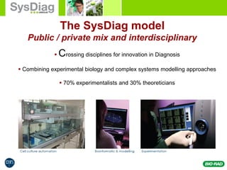  Crossing disciplines for innovation in Diagnosis
 Combining experimental biology and complex systems modelling approaches
 70% experimentalists and 30% theoreticians
The SysDiag model
Public / private mix and interdisciplinary
 