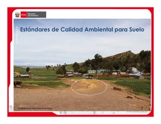 Estándares de Calidad Ambiental para Suelo
Ahuallane en Pusi-Huancané-Puno
AchimConstantin
 