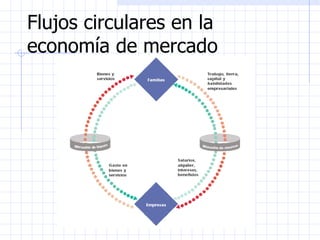 Flujos circulares en la economía de mercado 