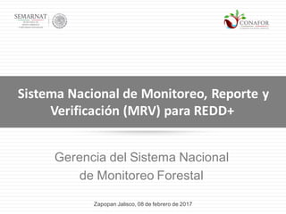 Gerencia del Sistema Nacional
de Monitoreo Forestal
Sistema	Nacional	de	Monitoreo,	Reporte	y	
Verificación	(MRV)	para	REDD+
Zapopan Jalisco, 08 de febrero de 2017
 